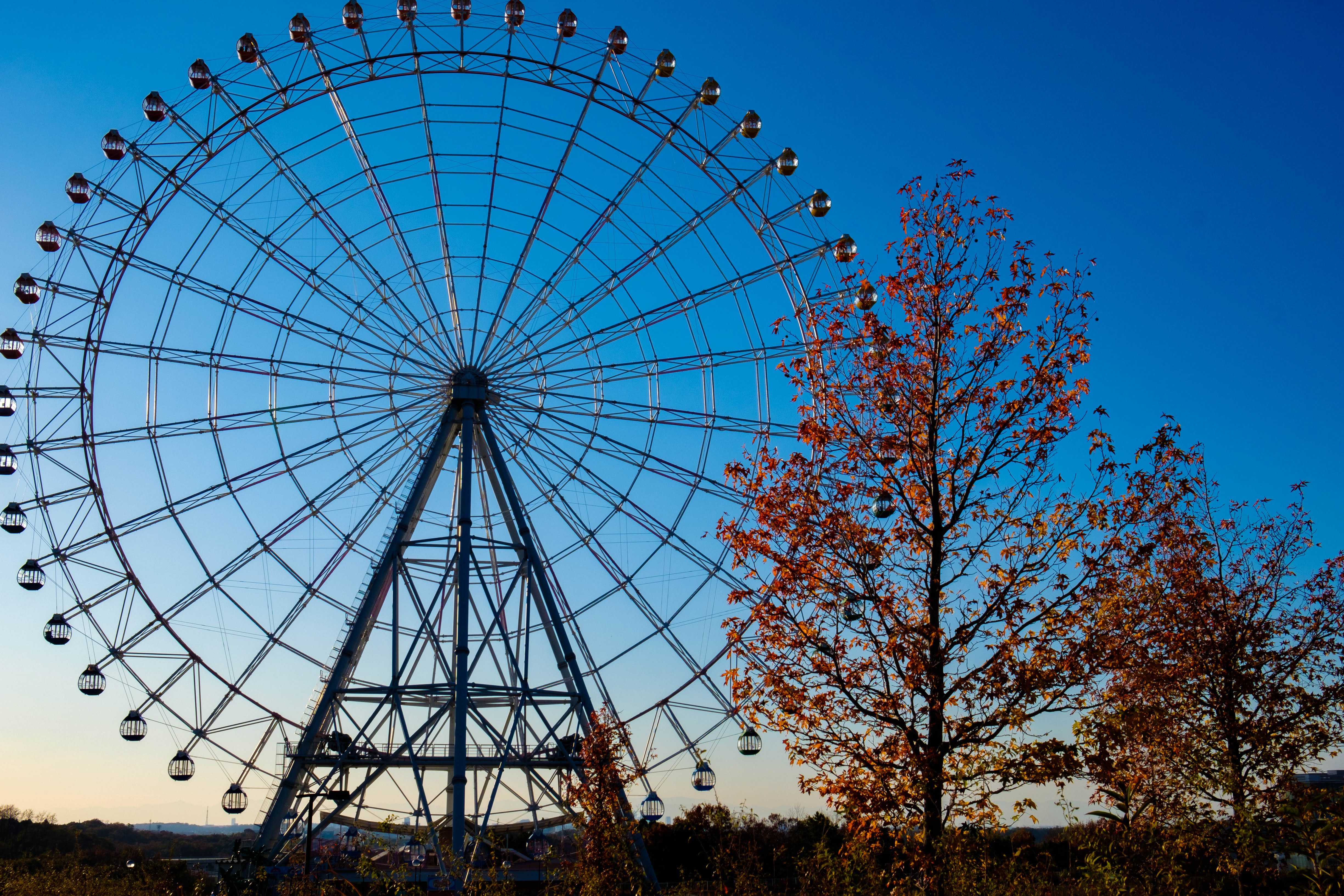 nagoya モリコロパーク 観覧車